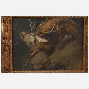 Max Correggio, Hirschstudie