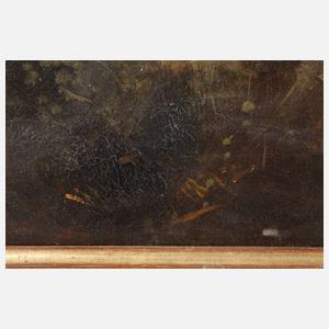 Sturzbach in Gebirgslandschaft