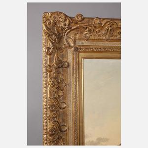 Sturzbach in Gebirgslandschaft