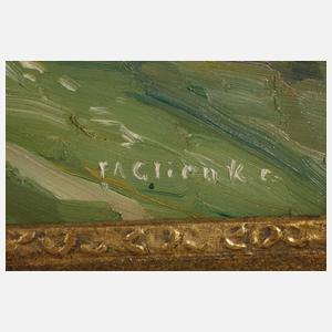 Ferdinand August Glienke, Festung Hammershus auf Bornholm