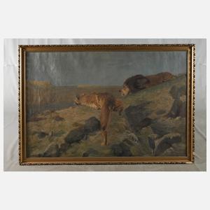 F. Brandt, Jagende Löwen nach Wilhelm Kuhnert