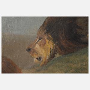 F. Brandt, Jagende Löwen nach Wilhelm Kuhnert