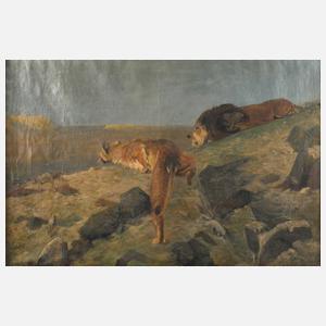 F. Brandt, Jagende Löwen nach Wilhelm Kuhnert