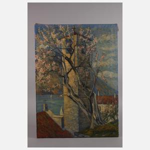 René Elzingre, Kirschblüte im Gebirge