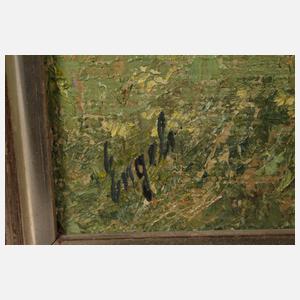 Walter Engels, Alpine Siedlung