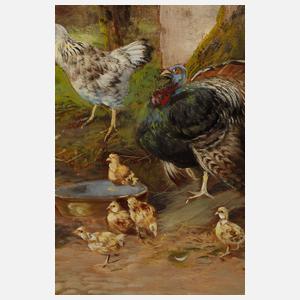 Max Hänger sen., Prächtiges Federvieh vor der Scheune