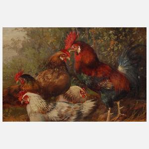 Max Hänger sen., Gruppe Hühner