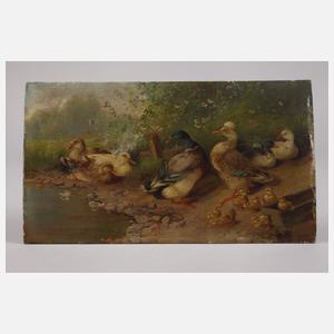 Max Hänger Senior oder Junior, Enten am Ufer