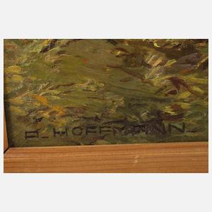 A. Hoffmann, Gleichberge in Thüringen