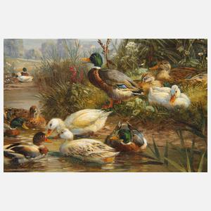 Hubert Kaplan, Enten am Teich
