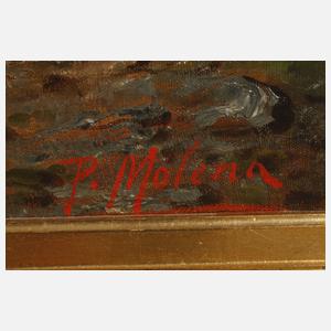 P. Molena, Große Fjordlandschaft