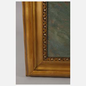 Müller, Verträumte Mondnacht in den Bergen