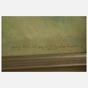 Fritz Müller-Schwaben, Sonnenspitze mit Bergdorf in Tirol