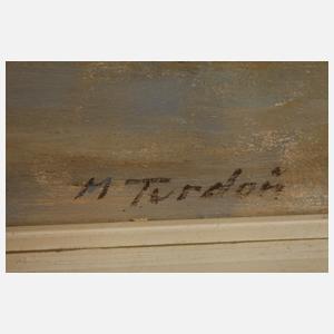 Martin Tvrdoň, Blick auf die Pressburg