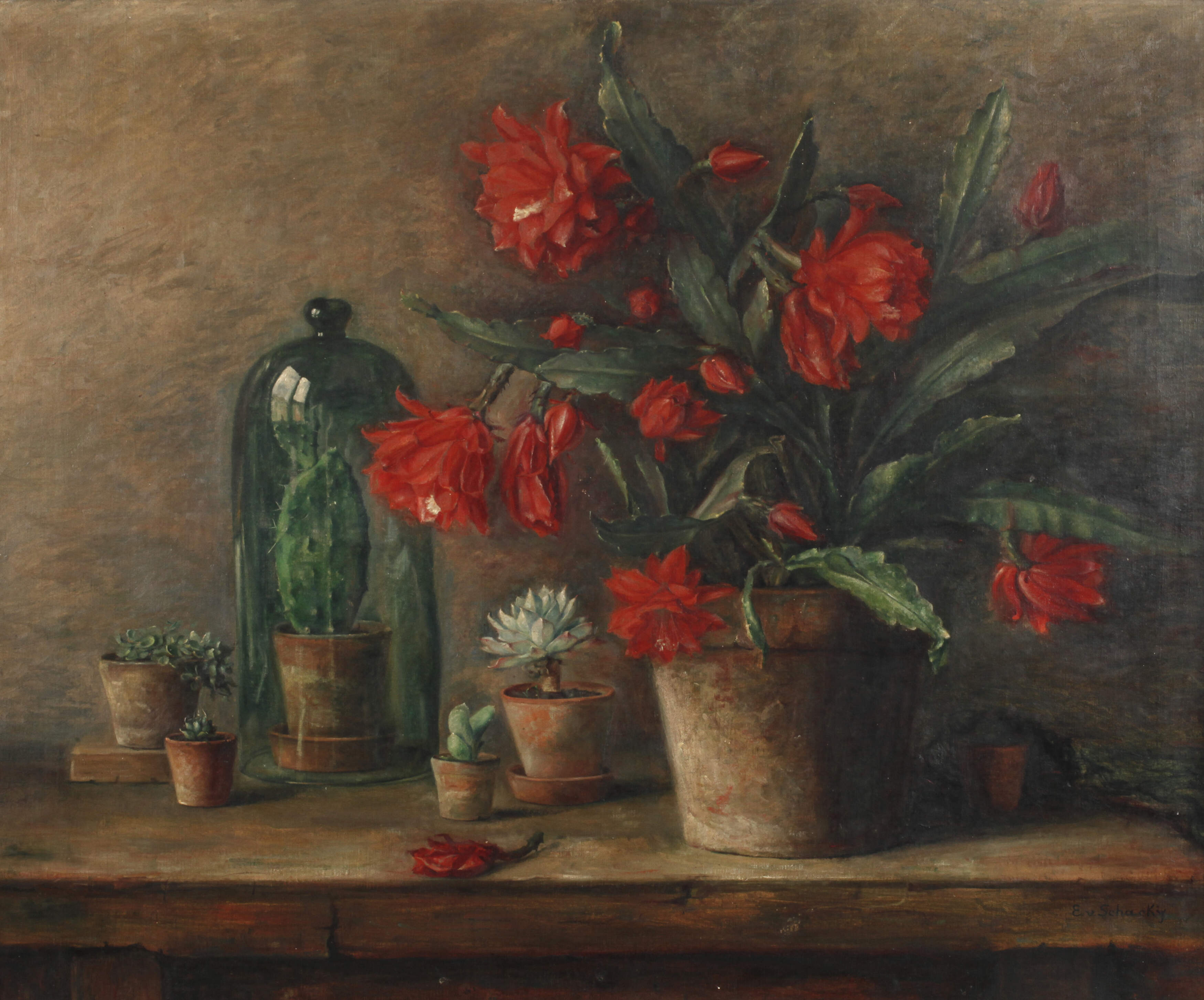 Eugenie von Schacky, Stillleben mit Kakteen