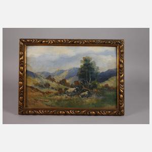 Josef Skowronski, Im Gebirge