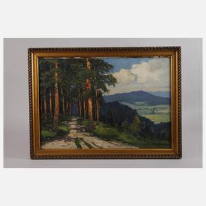 Smetana, Sommerliche Mittelgebirgslandschaft