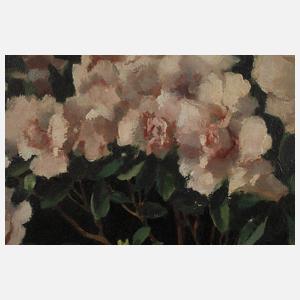 Wenzel Hermann Wendlberger, Azaleen