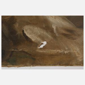 Löwenpaar auf Felsen