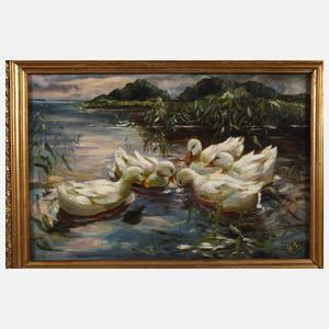 Enten im See (nach Koester)