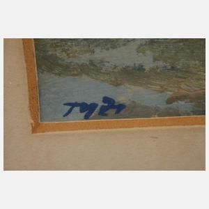 Blick auf den Jeschken in Nordböhmen