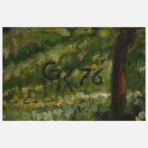 Sommerliche Alpenlandschaft