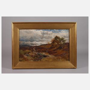 Herbstliche Heidelandschaft