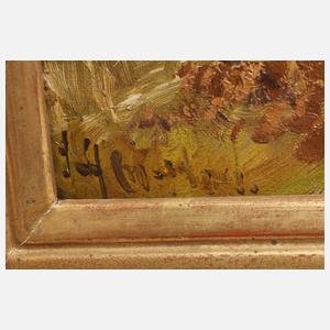 Herbstliche Heidelandschaft