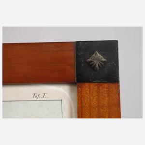 Zwölf Rahmen Biedermeier