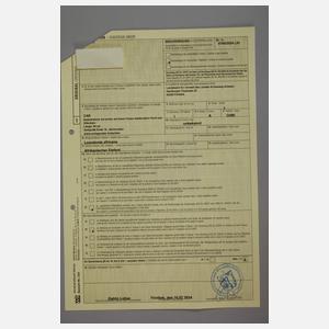 Spazierstock Elfenbein