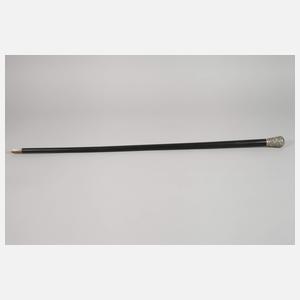 Spazierstock Silber