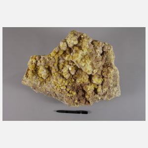 Große Schwefelstufe