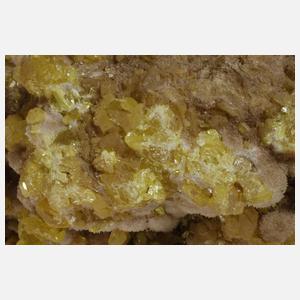 Große Schwefelstufe