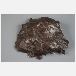 Meteorit Shikote-Alin