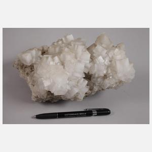 Konvolut Halitstufen, Bernburg/Sachsen-Anhalt