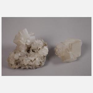 Konvolut Halitstufen, Bernburg/Sachsen-Anhalt