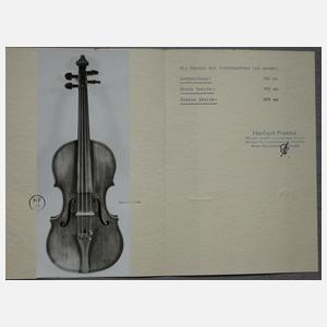 Violine im Etui
