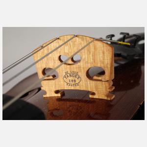 Violine im Etui