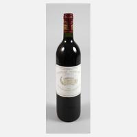 Flasche Rotwein111