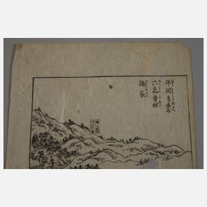 Konvolut Holzschnitte