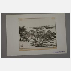 Konvolut Holzschnitte