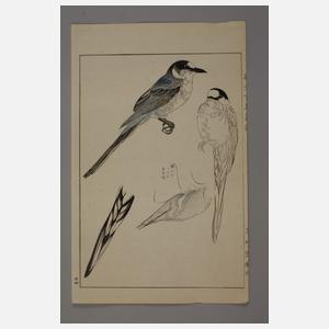 Konvolut Grafik und Zeichnungen