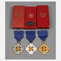 Konvolut Treue-Dienste-Abzeichen 3. Reich111