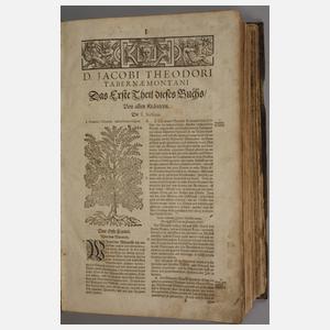 Großes Kräuterbuch 1687