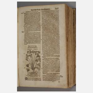 Großes Kräuterbuch 1687