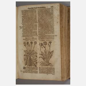 Großes Kräuterbuch 1687