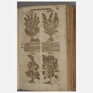 Großes Kräuterbuch 1687