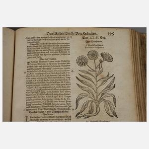 Großes Kräuterbuch 1687