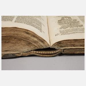 Großes Kräuterbuch 1687