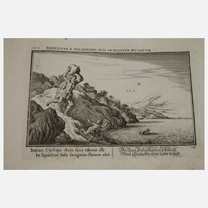 Funffzehen Verwandlungs-Bücher